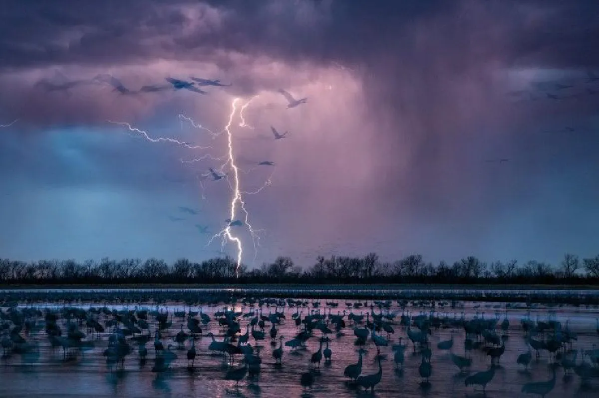 รวมภาพถ่ายที่ดีที่สุดในปีนี้ โดยเนชั่นแนล จีโอกราฟฟิก