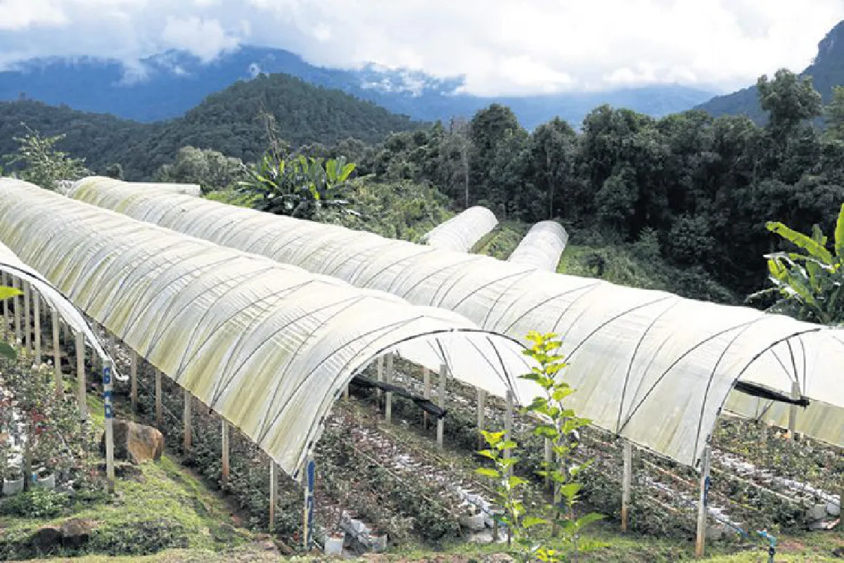 เดินทางพ่อ เรื่องเล่าจากดอยอินทนนท์