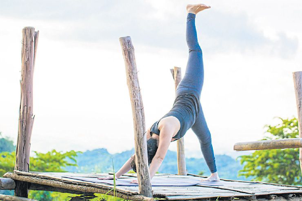 Downward-Facing Dog with Forehead to knee (Adho Mukha Svanasana Variations) Downward-Facing Dog with Forehead to knee (Adho Mukha Svanasana Variations)