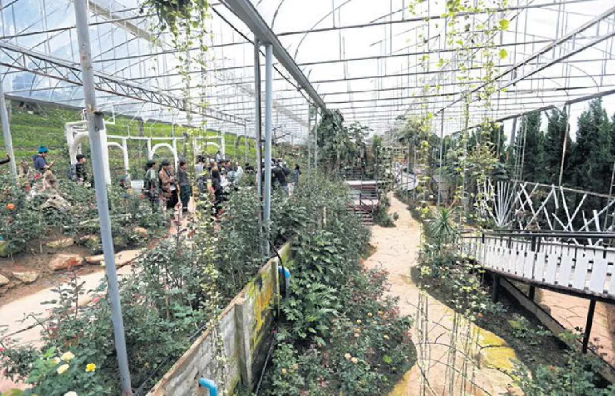 เดินทางพ่อ เรื่องเล่าจากดอยอินทนนท์