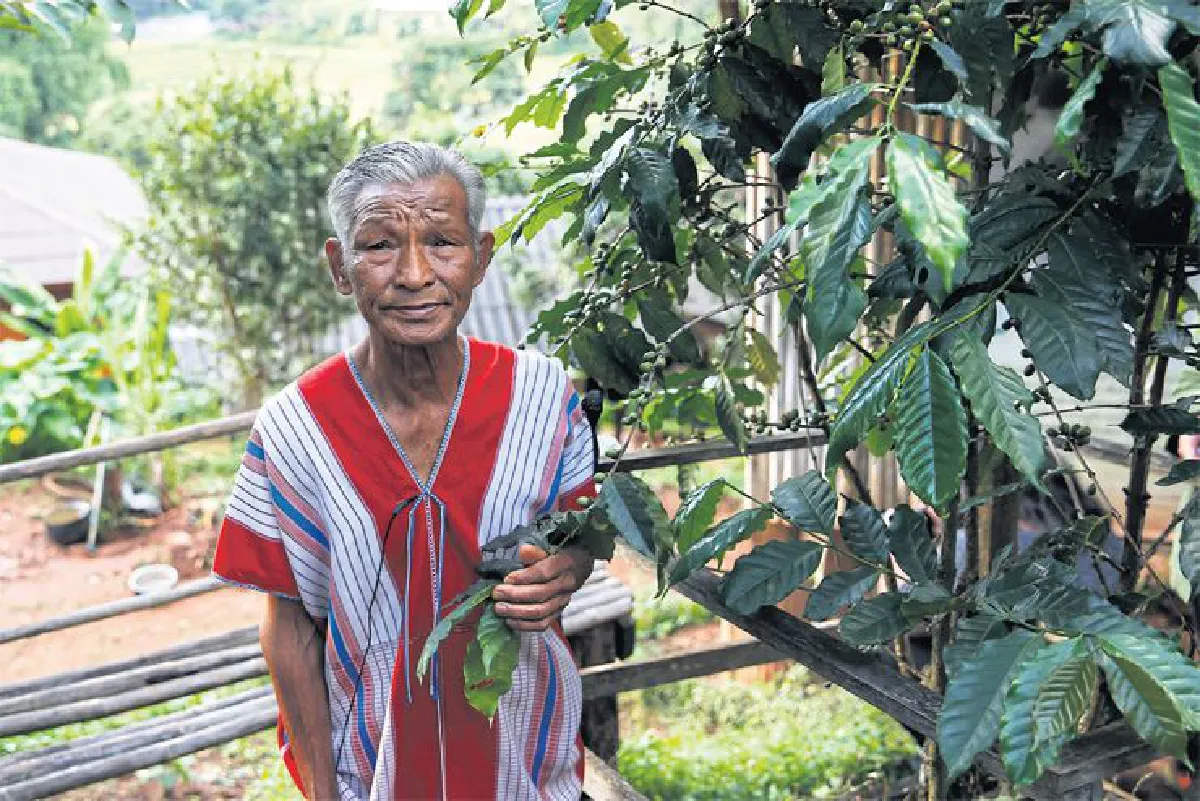 เดินทางพ่อ เรื่องเล่าจากดอยอินทนนท์