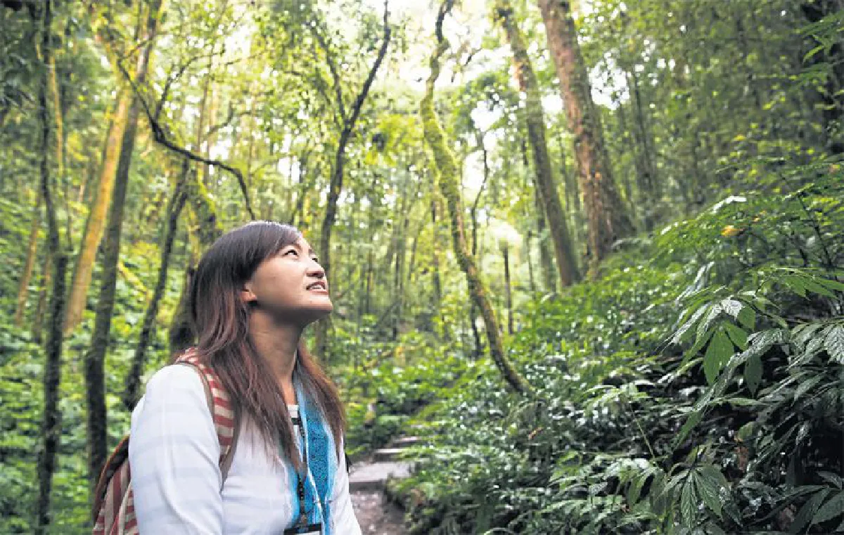 เดินทางพ่อ เรื่องเล่าจากดอยอินทนนท์