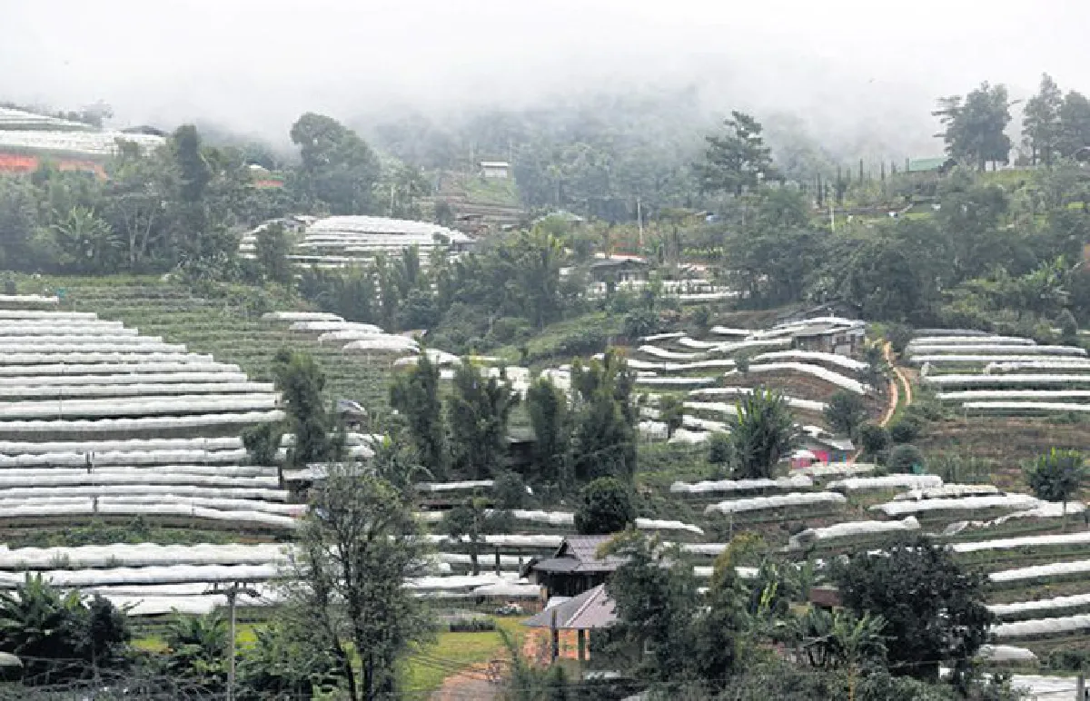 เดินทางพ่อ เรื่องเล่าจากดอยอินทนนท์