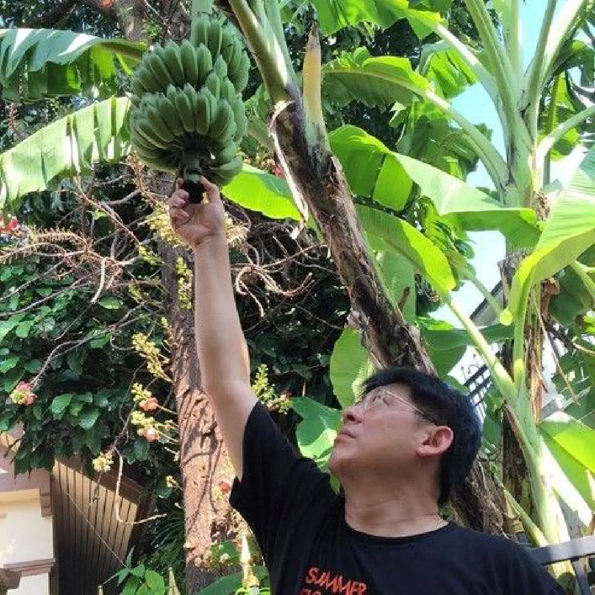 สรยุทธ อัพเดทชีวิต ปลูกผักผลไม้ในบ้านสวน