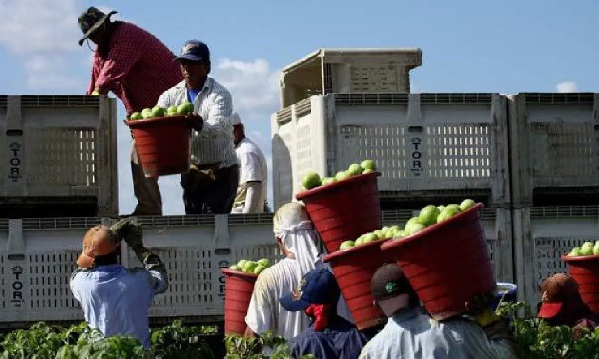 "ตม.เกาหลี"...ฝันร้ายของนักท่องเที่ยวกำมะลอ