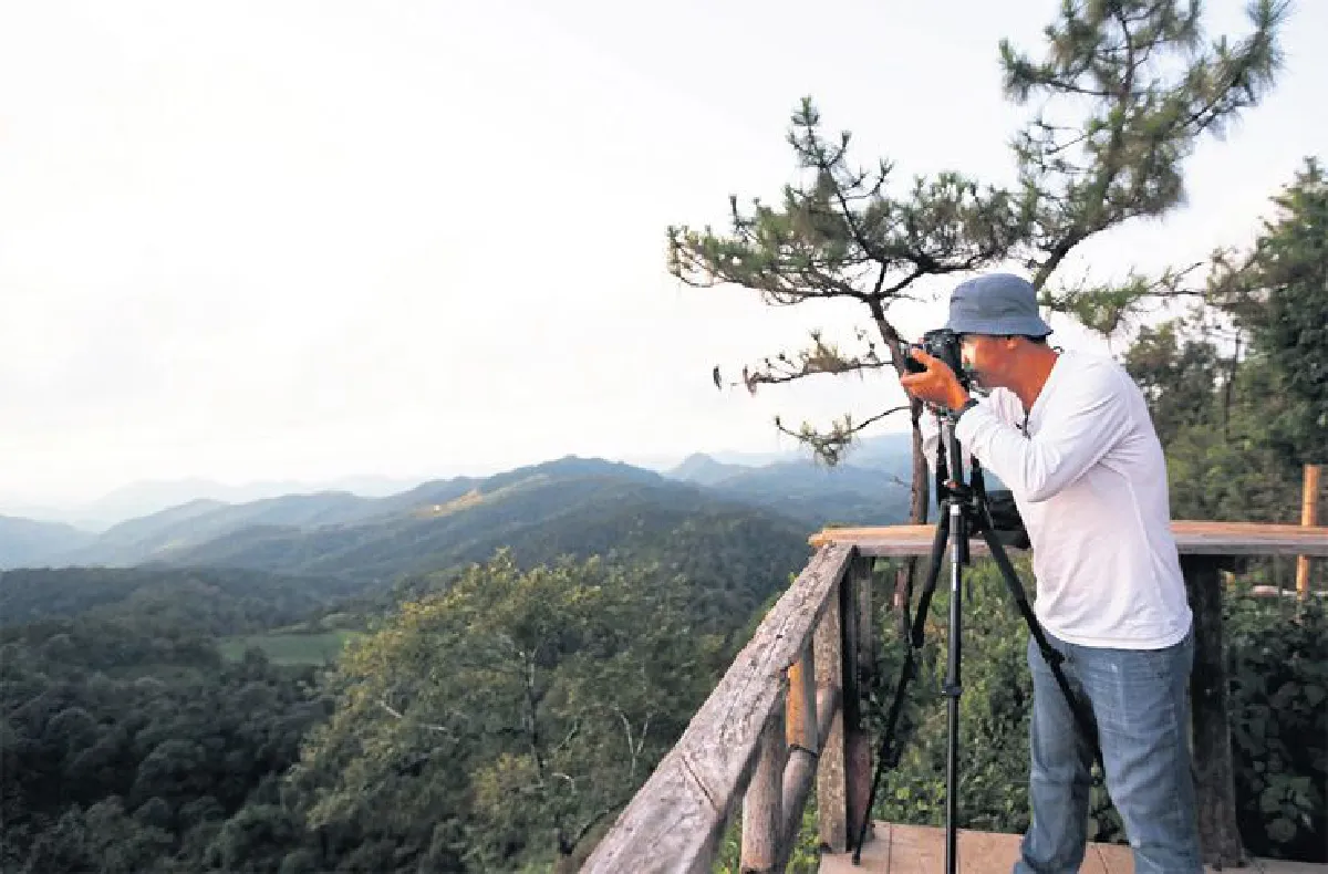 ฤดูล่า ทะเลหมอก