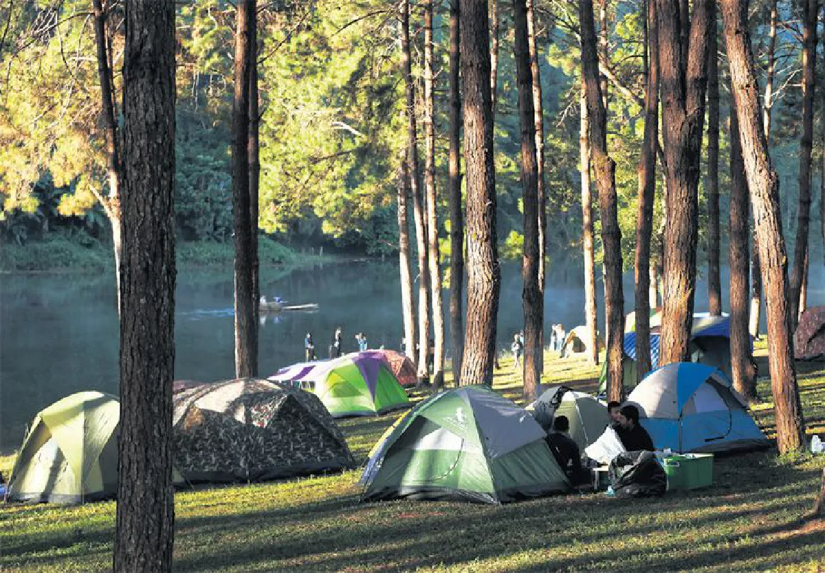 ฤดูล่า ทะเลหมอก