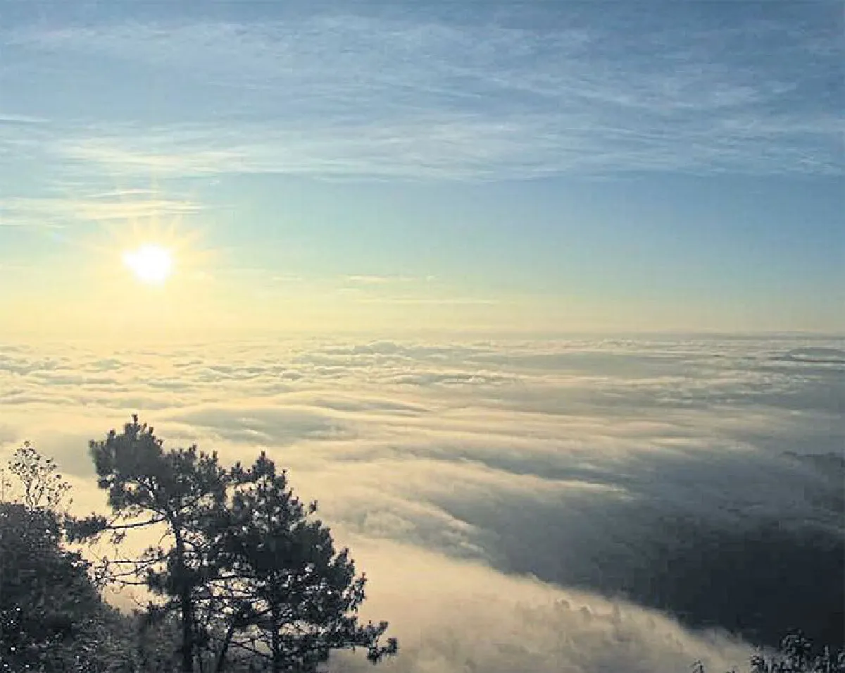 ฤดูล่า ทะเลหมอก