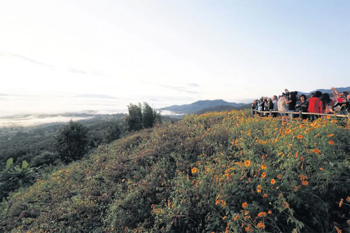 ฤดูล่า ทะเลหมอก