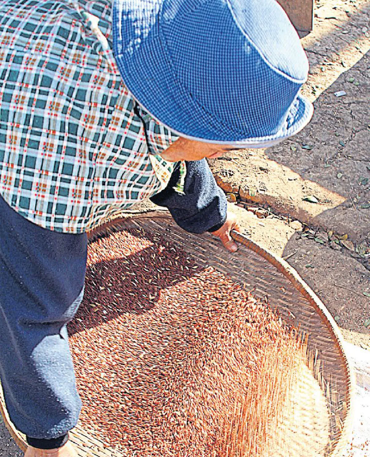 ให้ข้าวเป็นของขวัญ อิ่มไปถึง ... หัวใจ