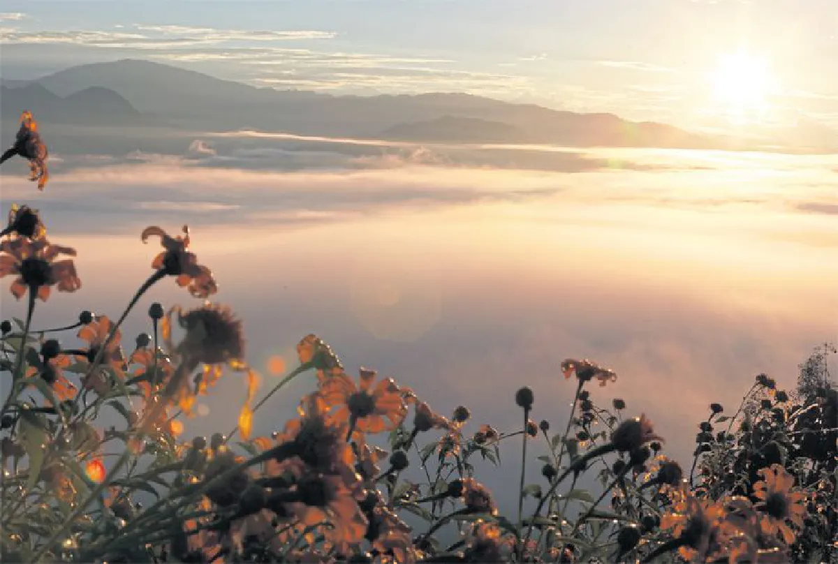 ฤดูล่า ทะเลหมอก