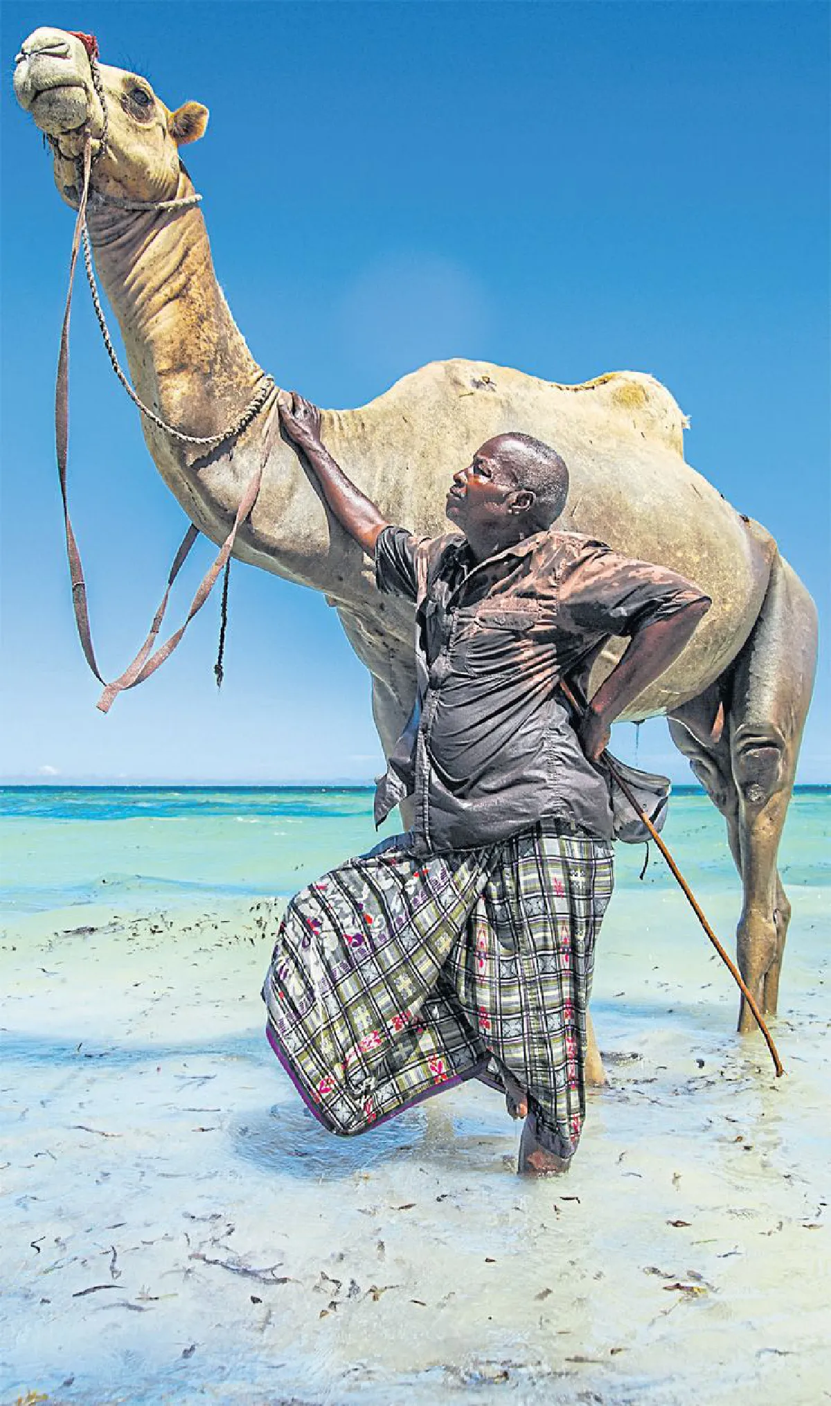 แอฟริกา การผจญภัยที่เต็มไปด้วยสีสัน