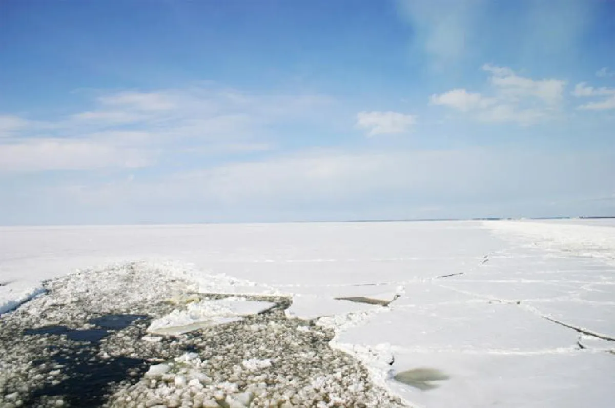 มุมว่าง ‘จักรพล’ ทายาทนันยาง จากนักบริหารสู่ตากล้อง