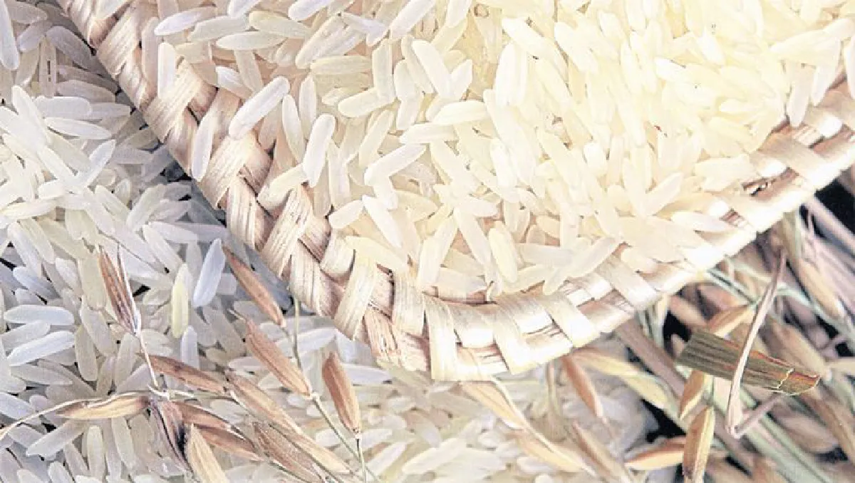 ให้ข้าวเป็นของขวัญ อิ่มไปถึง ... หัวใจ