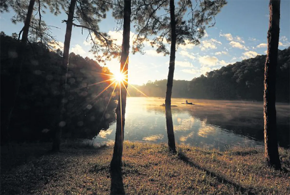 ฤดูล่า ทะเลหมอก