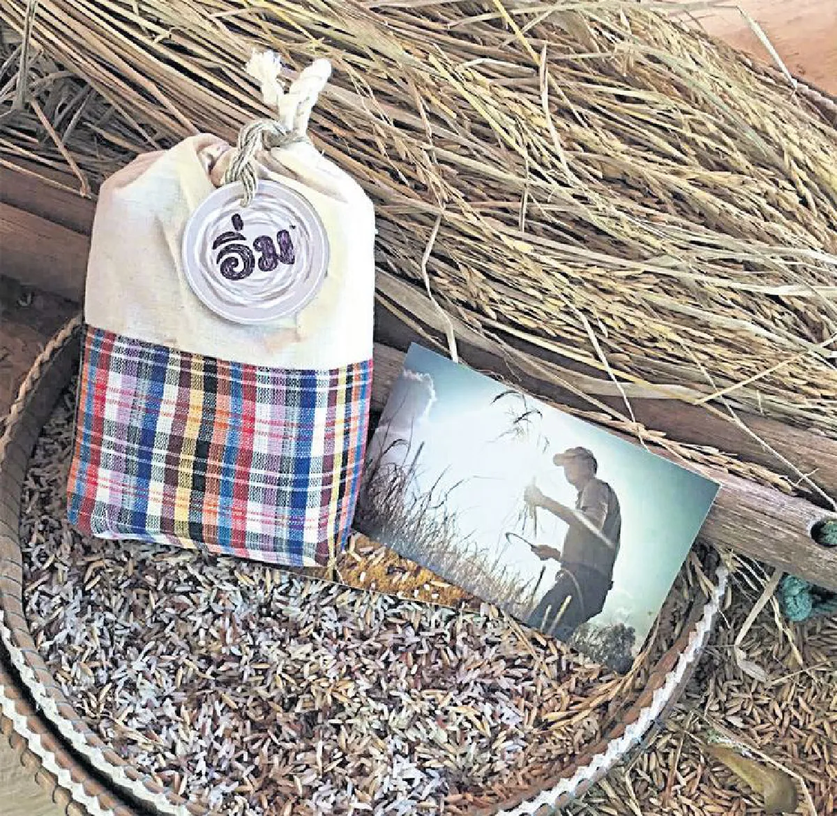 ให้ข้าวเป็นของขวัญ อิ่มไปถึง ... หัวใจ