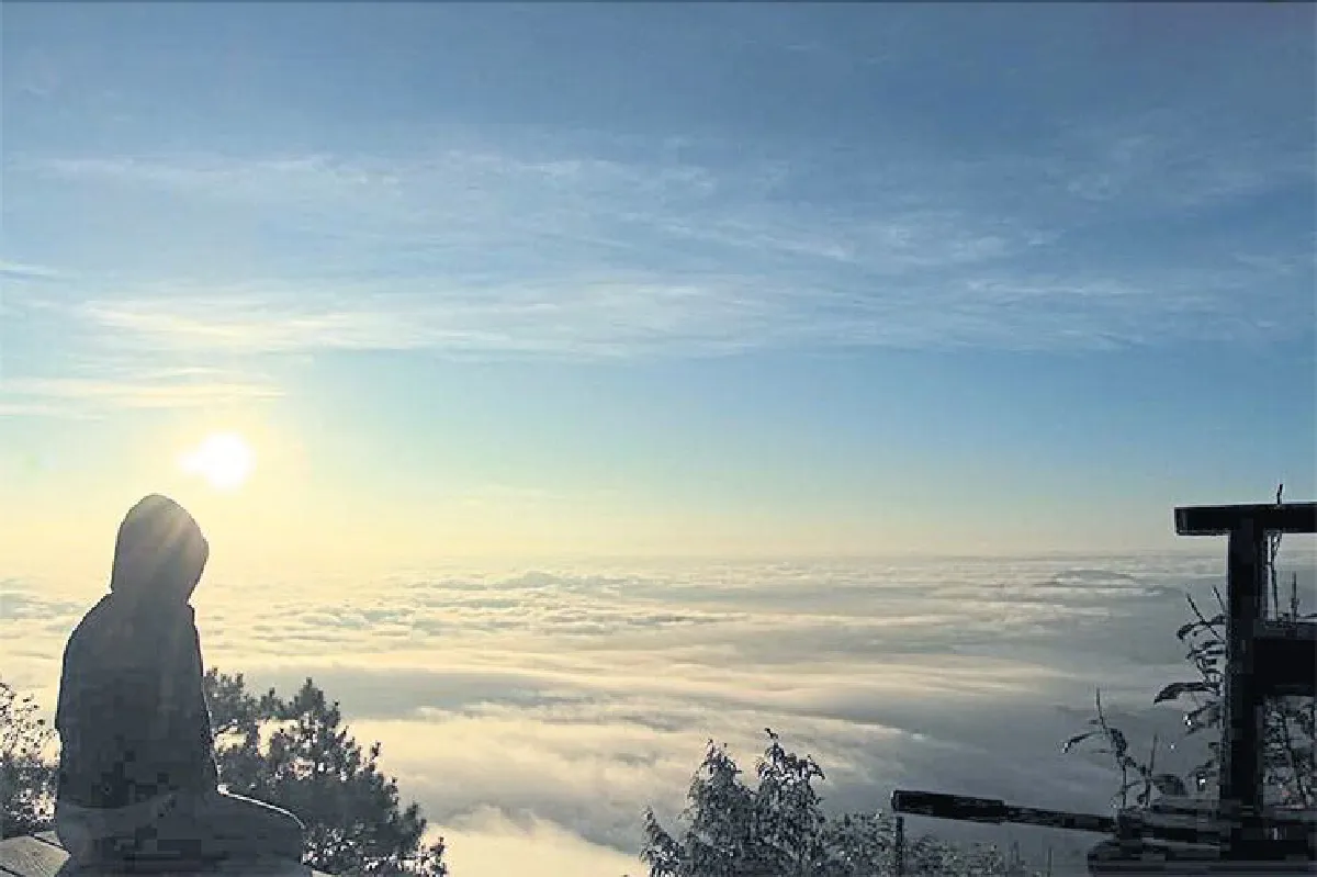 ฤดูล่า ทะเลหมอก