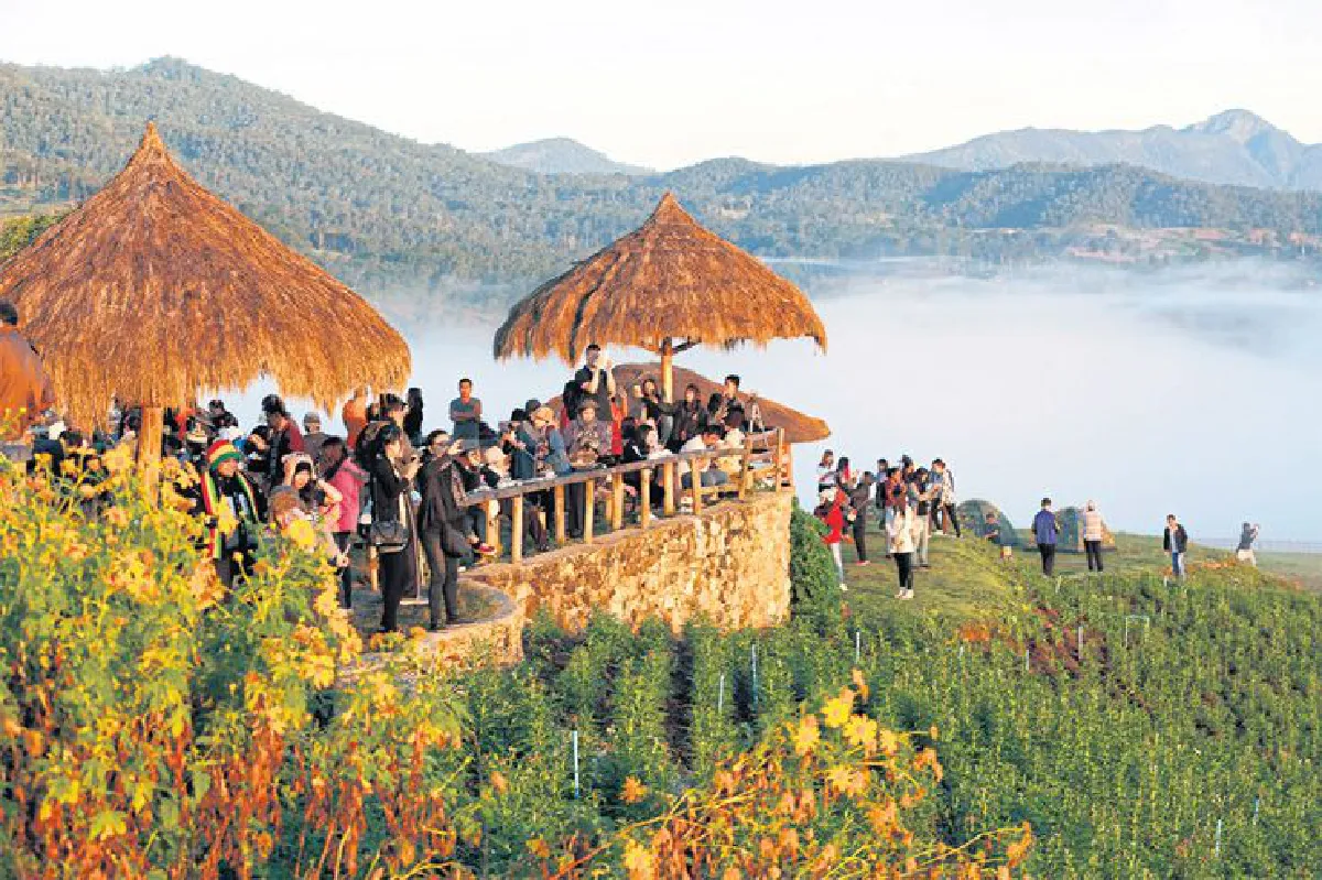 ฤดูล่า ทะเลหมอก