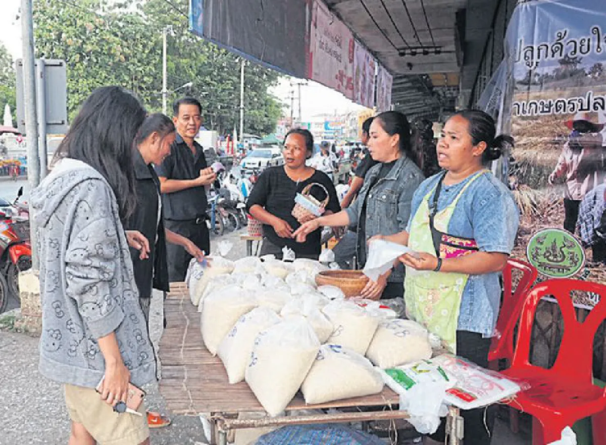 ให้ข้าวเป็นของขวัญ อิ่มไปถึง ... หัวใจ