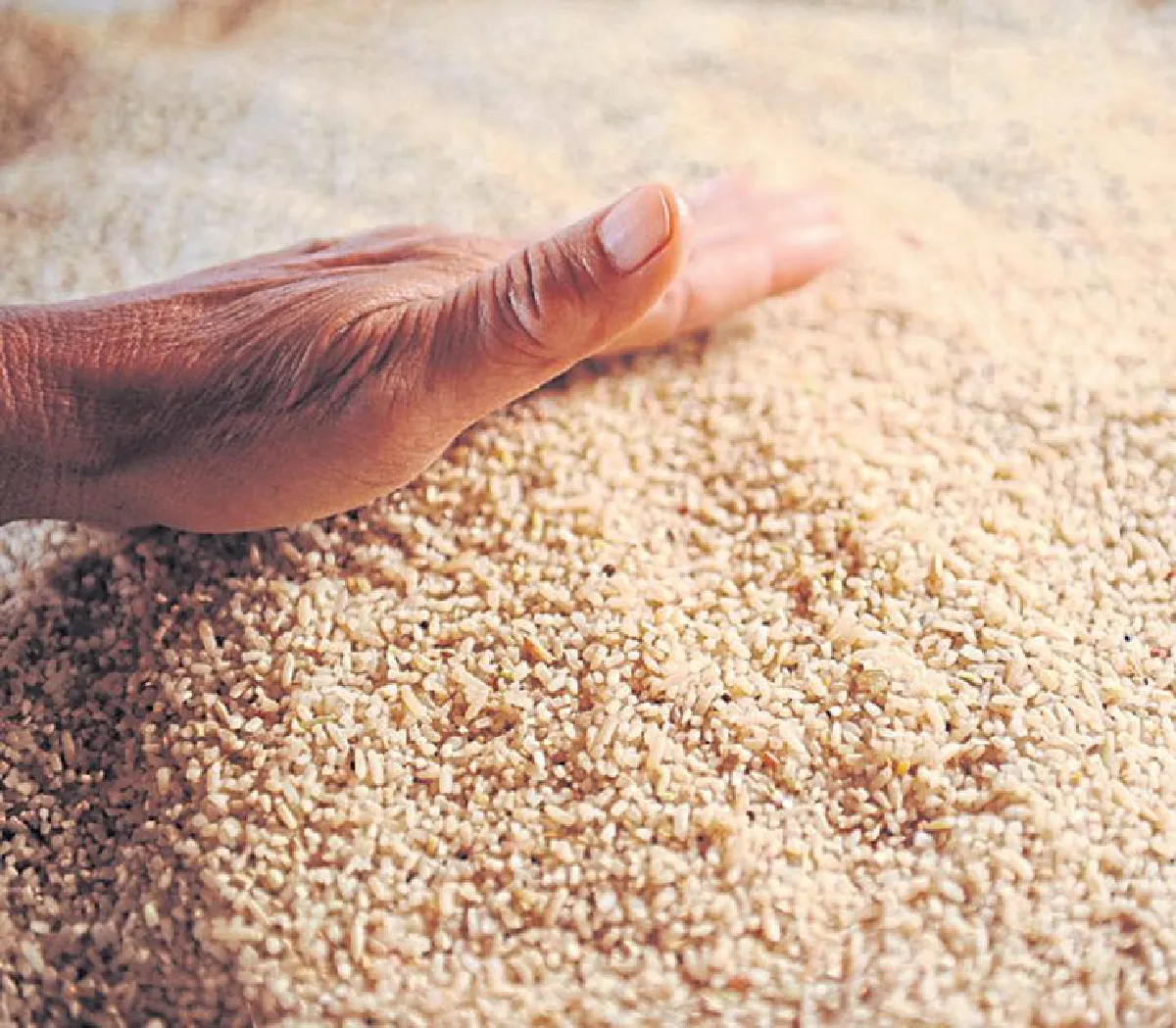 ยุคทองแห่งความศิวิไลซ์ เมืองมัลลิกา ร.ศ. 124