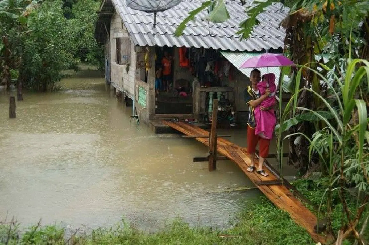 นราธิวาสฝนตก3วันน้ำท่วม3อำเภอ