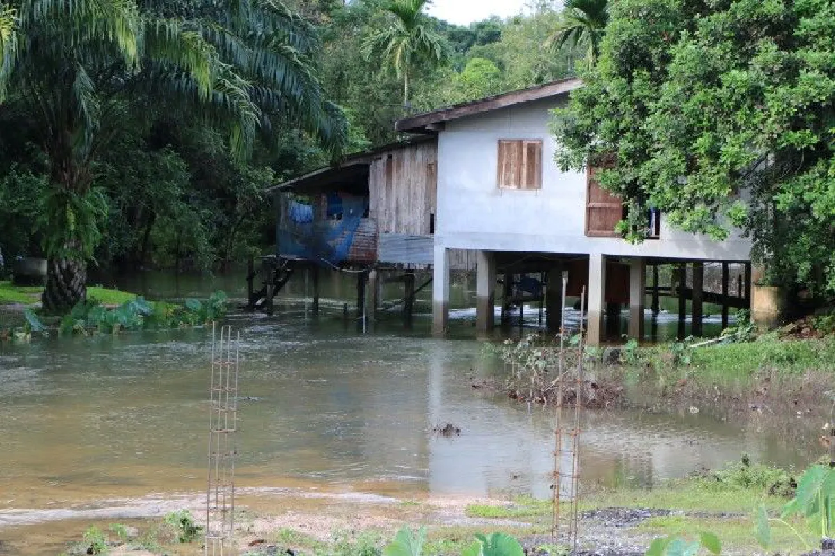 นราธิวาสฝนลดแต่น้ำยังท่วมขังในพื้นที่3อำเภอ