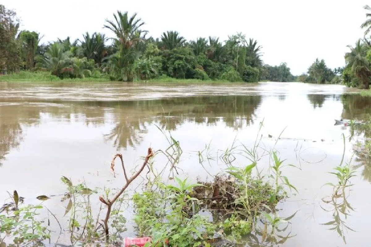 นราธิวาสฝนลดแต่น้ำยังท่วมขังในพื้นที่3อำเภอ