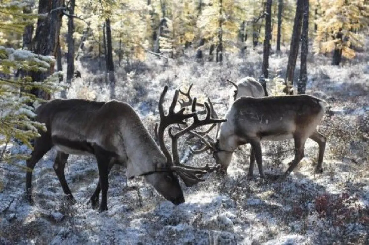 ประมวลเหตุการณ์สำคัญรอบโลกตลอดปี 2016