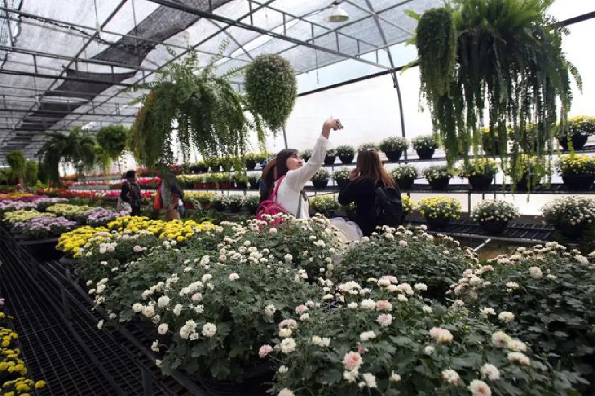 โกลเด้นไทม์