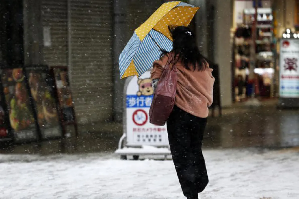 ตามหาความรัก ที่ฮอกไกโด