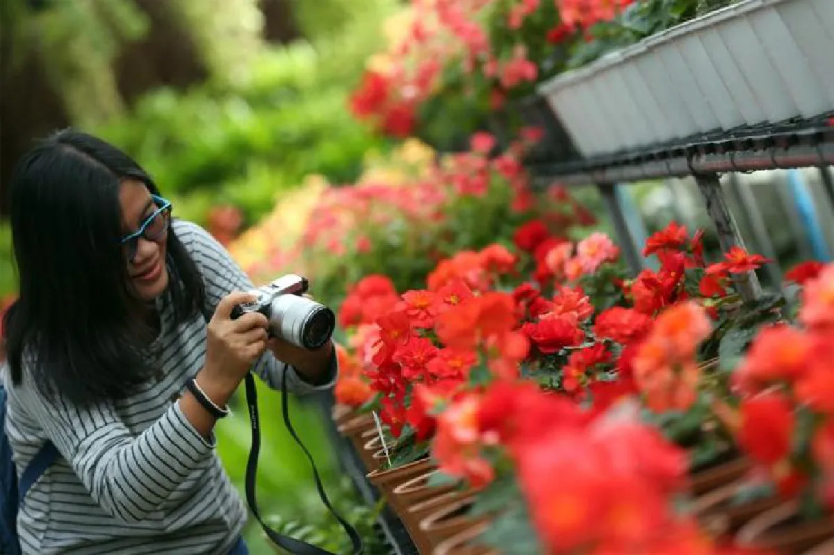 โกลเด้นไทม์