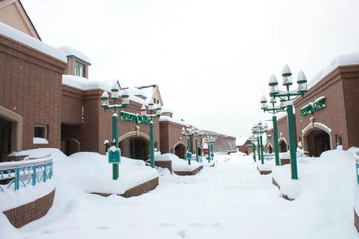 อะ ทรีบิวต์ พอร์ตโฟลิโอ ฮอกไกโด ตามรอยคุณเด่นชัย