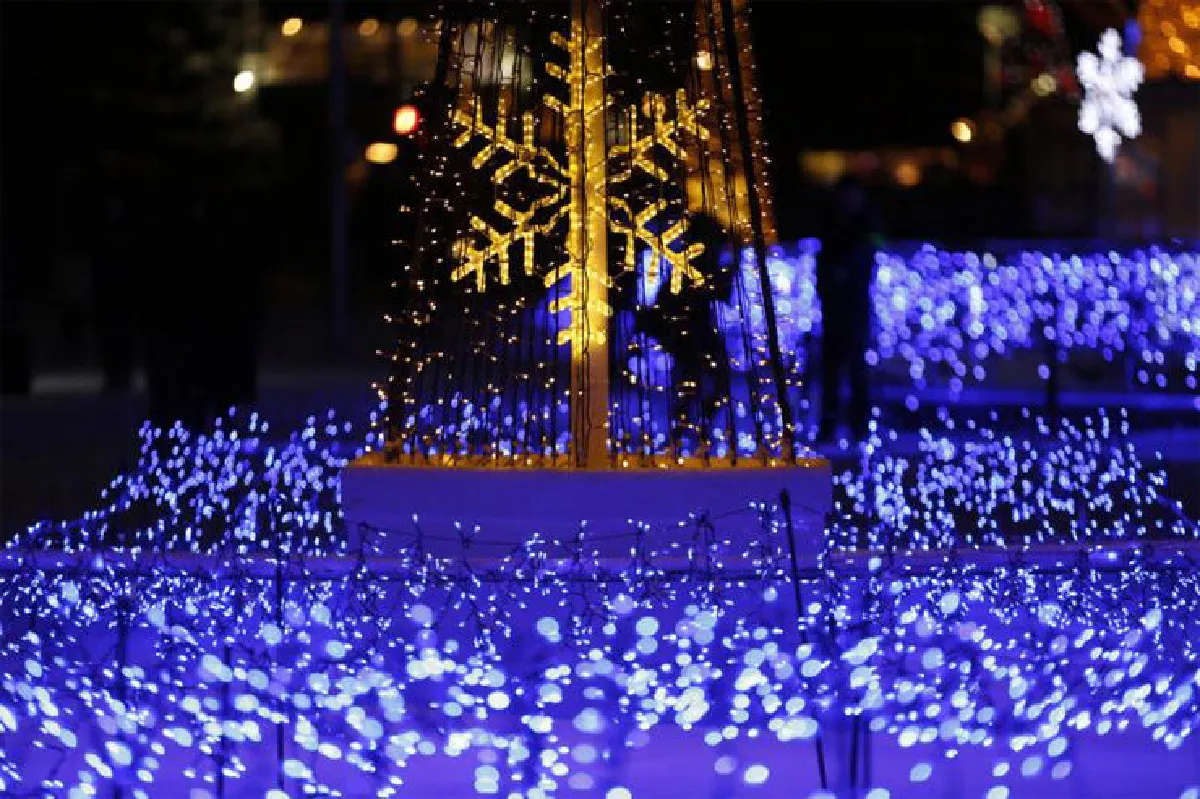 ตามหาความรัก ที่ฮอกไกโด