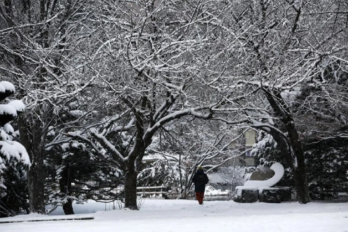 ตามหาความรัก ที่ฮอกไกโด