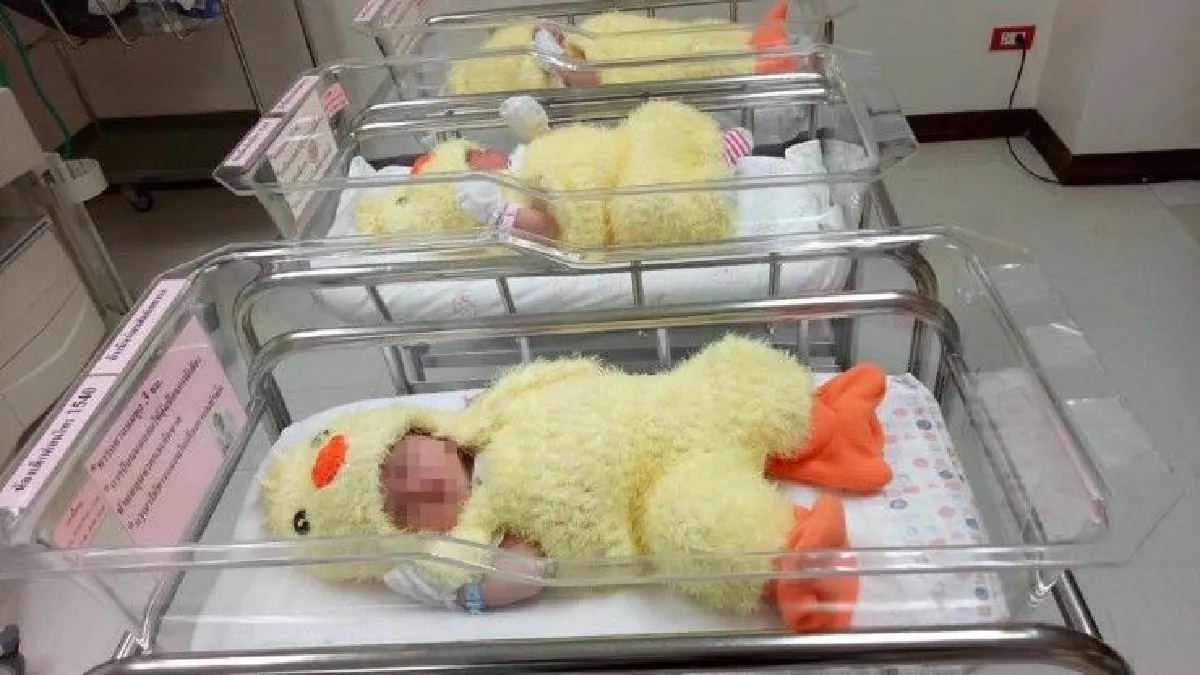 น่ารักอ่ะ!รพ.เปาโลโชคชัย4สวมชุดลูกเจี๊ยบให้ทารกต้อนรับปีระกา
