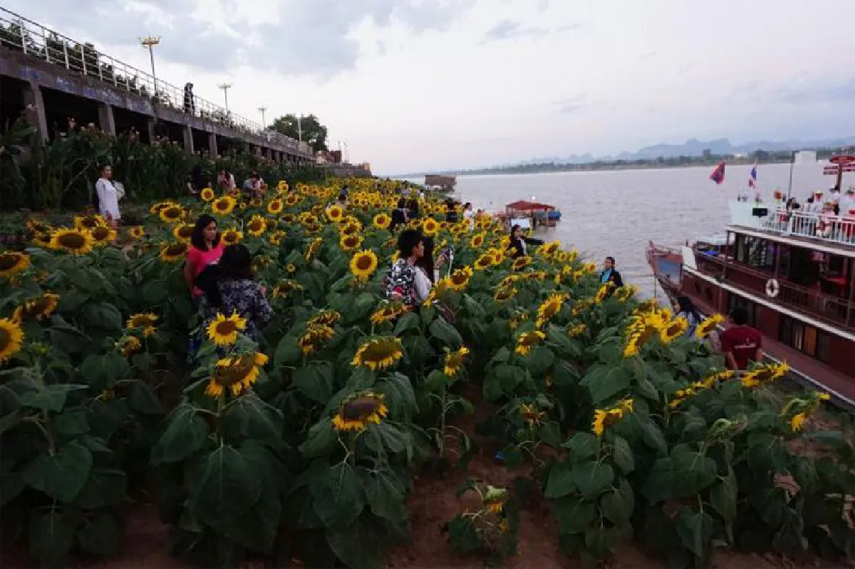 เปิดธรรมชาติแหล่งใหม่ กระจายรับท่องเที่ยว