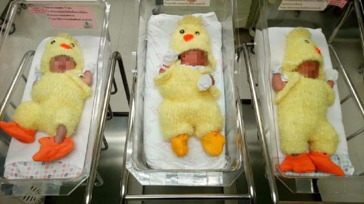 น่ารักอ่ะ!รพ.เปาโลโชคชัย4สวมชุดลูกเจี๊ยบให้ทารกต้อนรับปีระกา