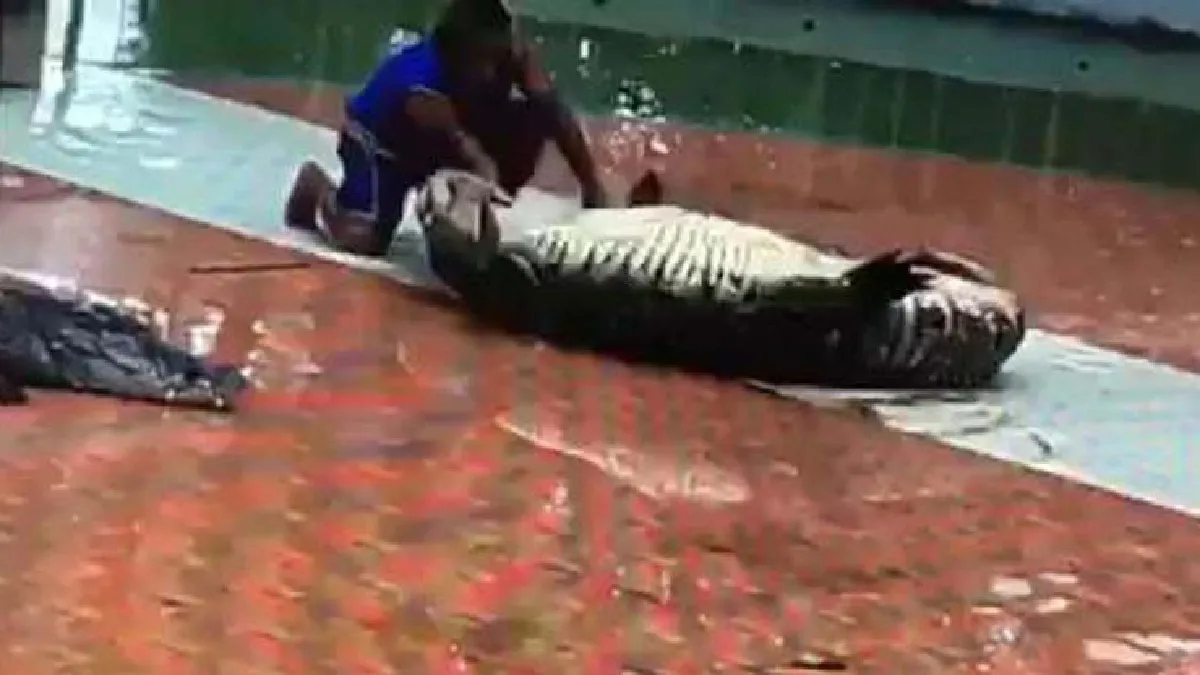 ระทึก!นักแสดงโชว์จระเข้พลาดท่าถูกงับมือหักที่นครสวรรค์