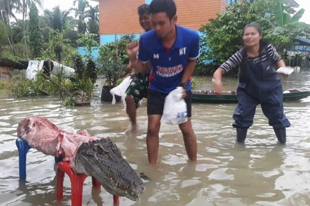 เตือนชาวบ้านระวัง "จระเข้" หลุดจากสวนสัตว์ เผยตัวใหญ่ยาวกว่า5เมตร