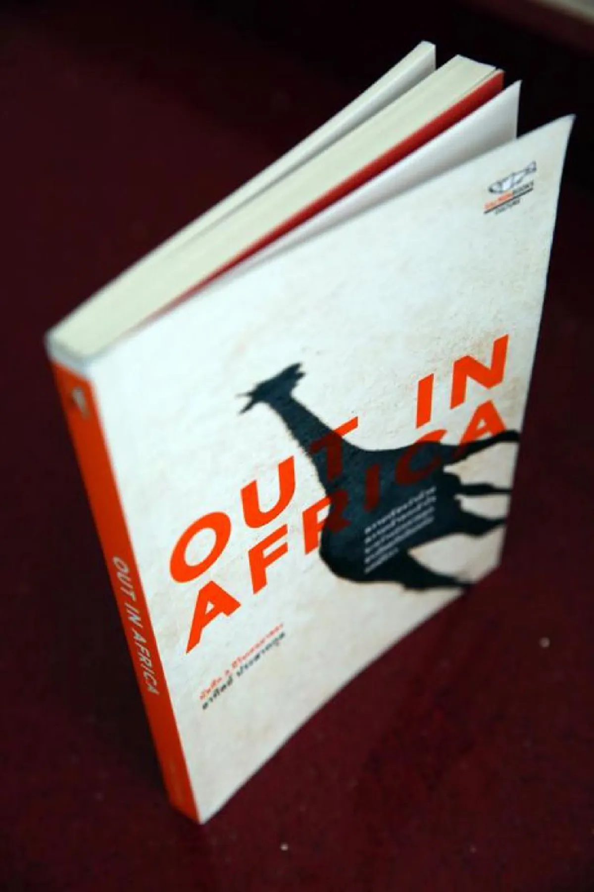 อาทิตย์ ประสาทกุล นักการทูต in Africa