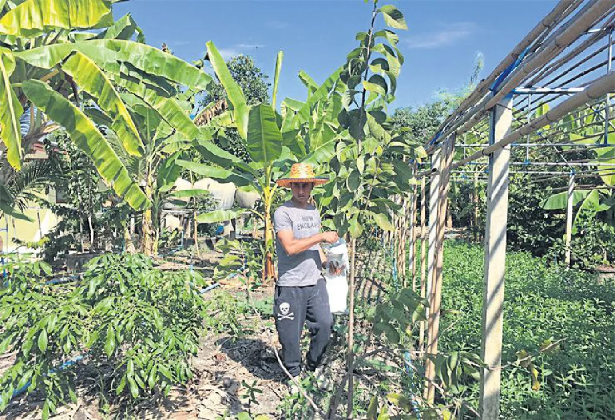 อนุวัต เฟื่องทองแดง  สุขสราญใจในสวนอินทรีย์