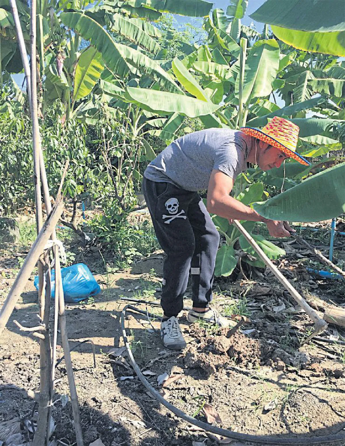 อนุวัต เฟื่องทองแดง  สุขสราญใจในสวนอินทรีย์