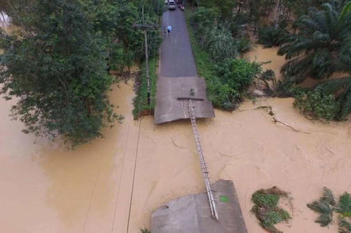 Death toll reaches 25 as temporary bridges reopen traffic  (Wed. Update)