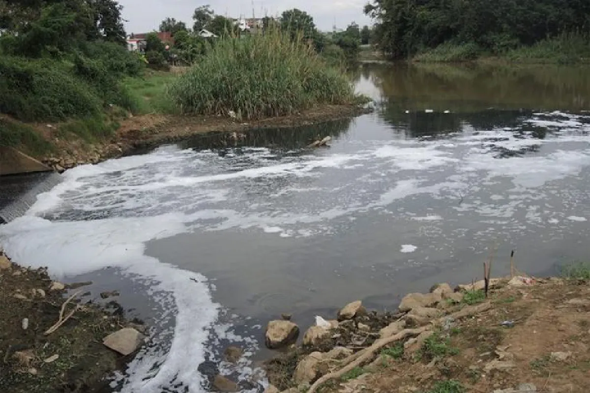 วิ่งเพื่อ(ชัก)แม่น้ำทั้ง 5 เจตนาของคนต้นน้ำ