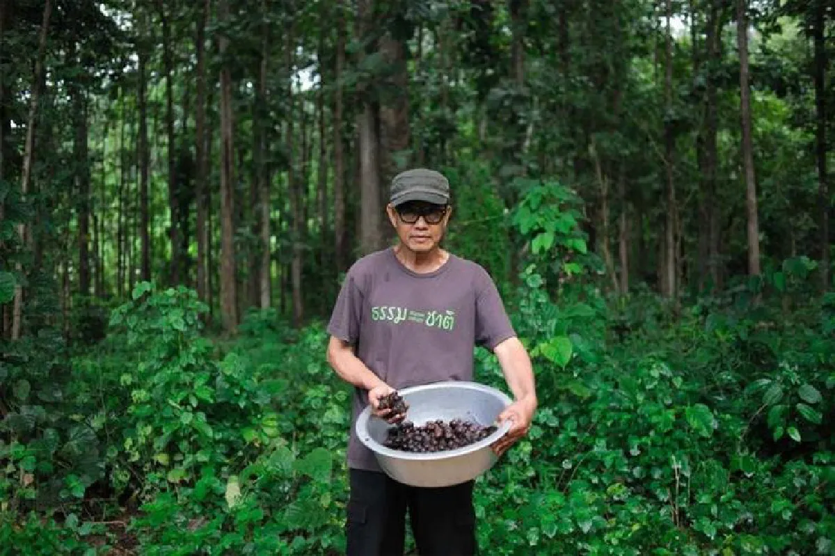 วิ่งเพื่อ(ชัก)แม่น้ำทั้ง 5 เจตนาของคนต้นน้ำ