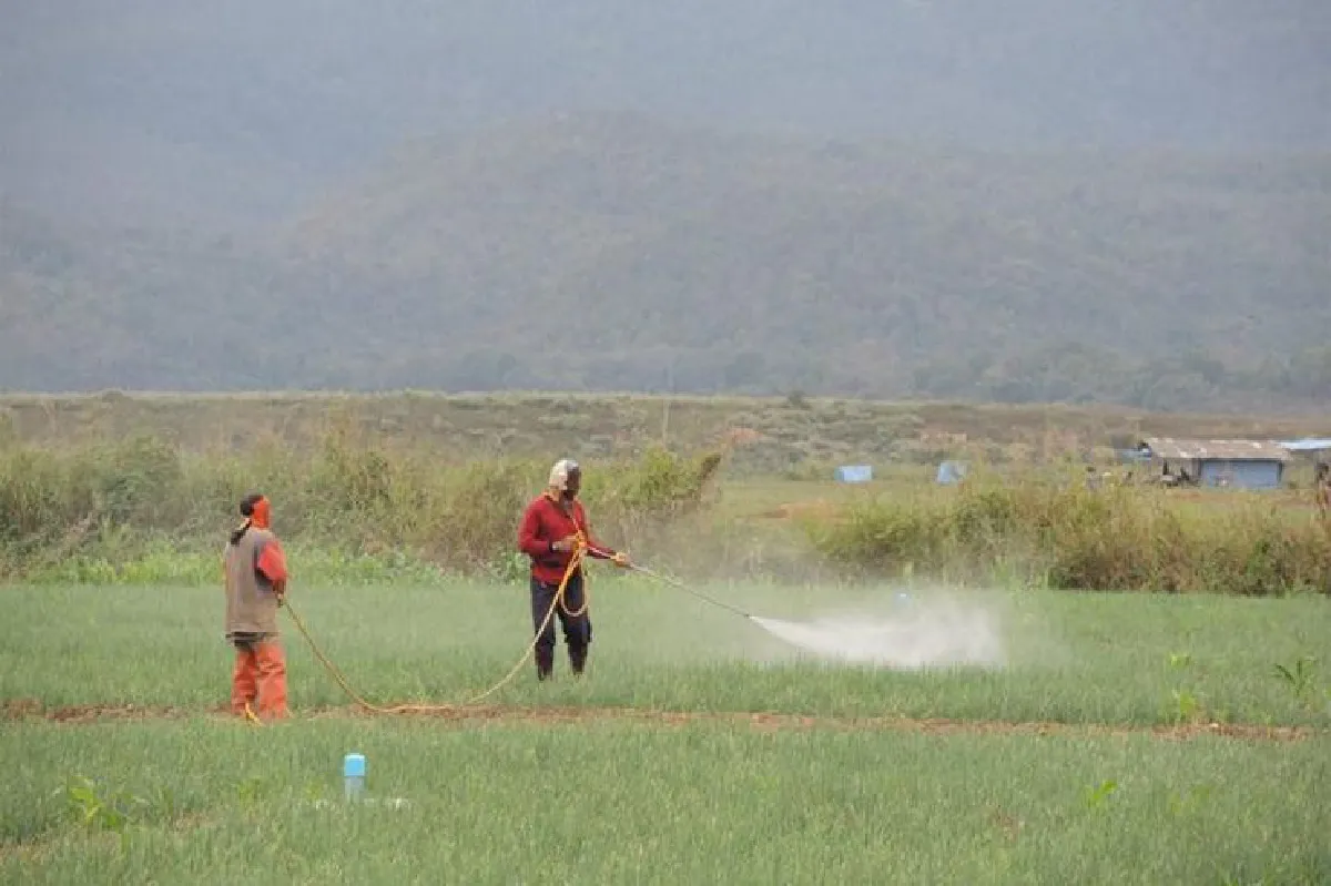 วิ่งเพื่อ(ชัก)แม่น้ำทั้ง 5 เจตนาของคนต้นน้ำ