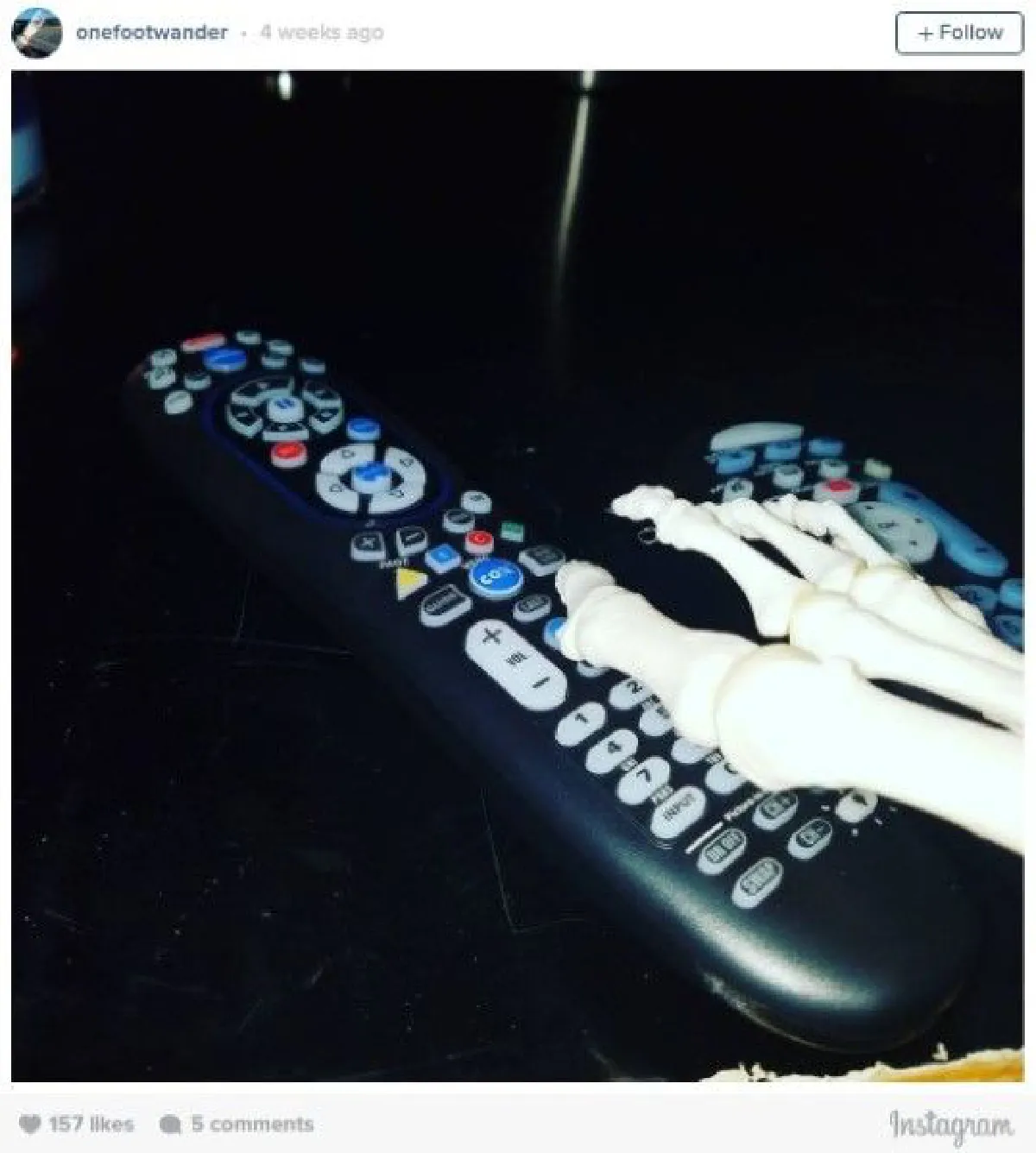 พบกับอินสตาแกรมของกระดูกเท้า ที่เจ้าของตั้งใจจะพาไปเที่ยวรอบโลก!