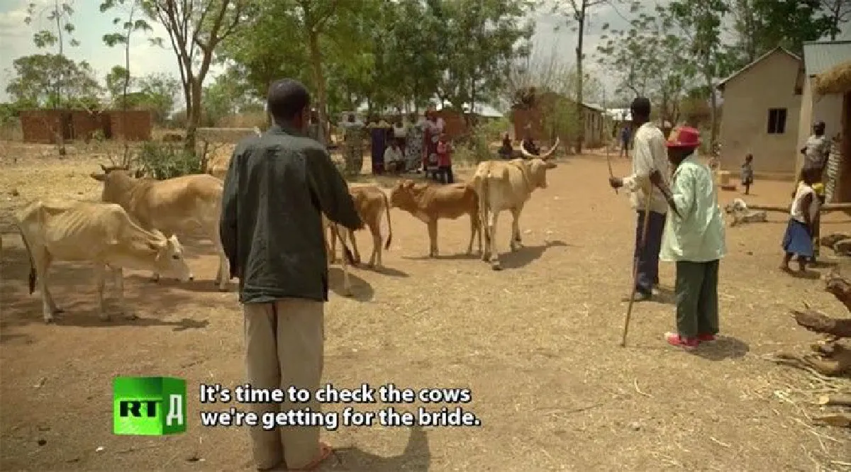 "ลูกสาวมีค่าเท่ากับวัว 5 ตัว" ชมสารคดีประเพณีจับเด็กแต่งงานในแทนซาเนีย