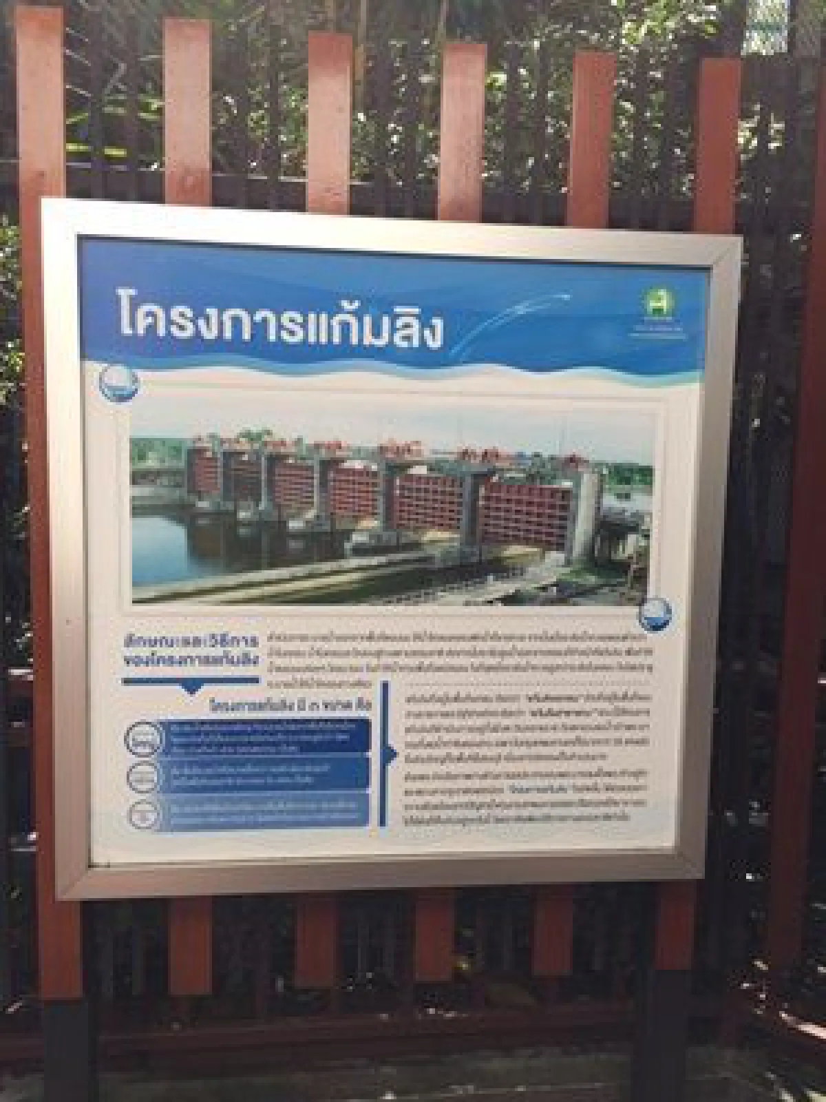 เรื่องเล่า ลิงแสมทรงเลี้ยงพระมหากรุณาธิคุณในหลวงรัชกาลที่ 9