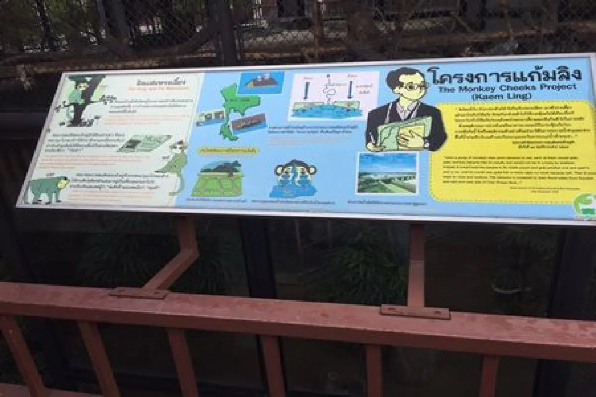 เรื่องเล่า ลิงแสมทรงเลี้ยงพระมหากรุณาธิคุณในหลวงรัชกาลที่ 9